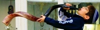 shofar 11.jpg